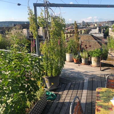 Abendessen bei Freunden